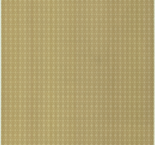 CARTA DA PARATI ROBERTO CAVALLI Cod.  RC17116
