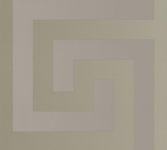Carta da parati Versace collezione 5 Codice 38609-2 rotolo 7mq